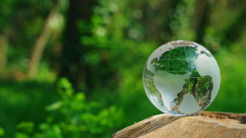 CSRへの取り組み